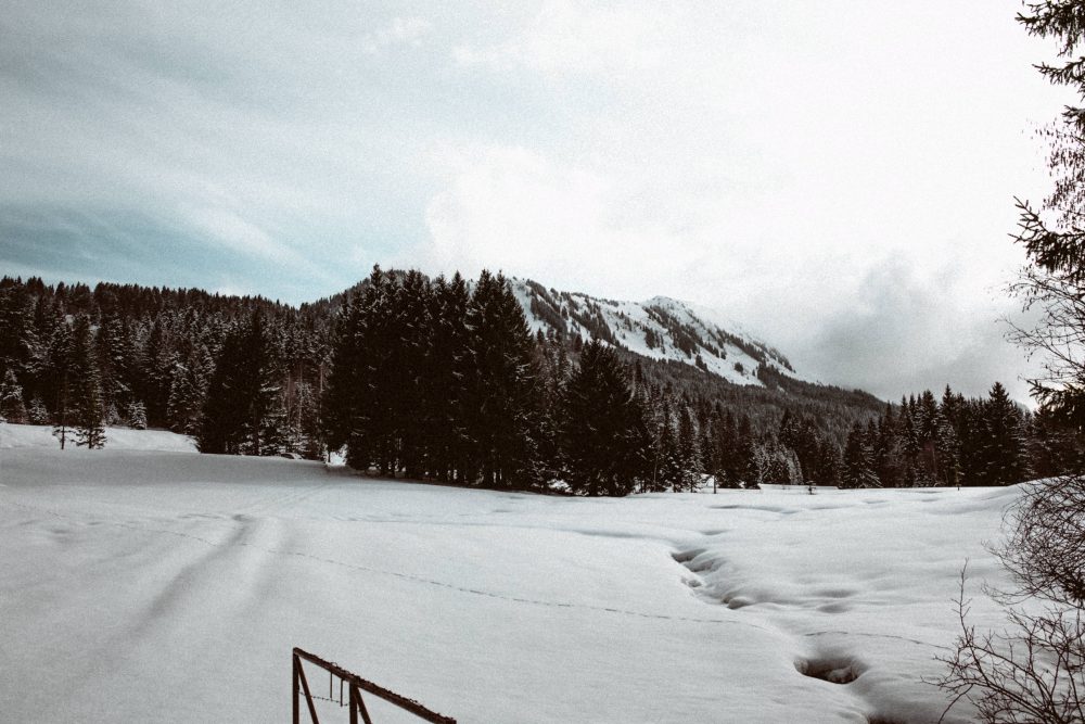 Babybauchshooting im winterlichen Allgäu