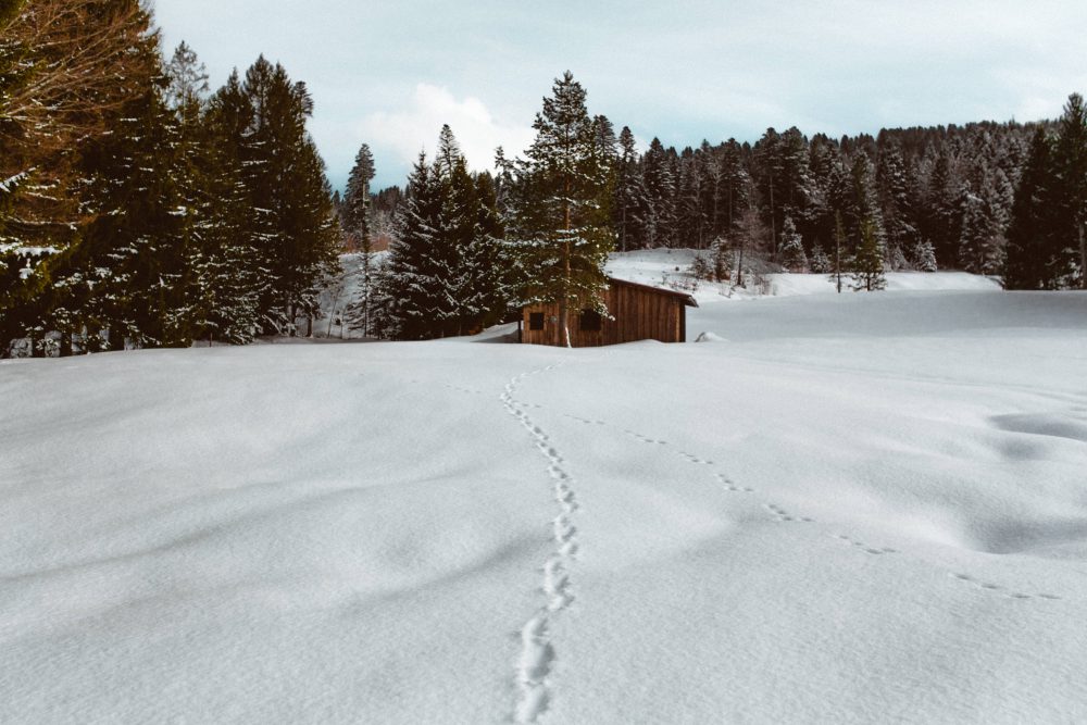 Babybauchshooting im winterlichen Allgäu