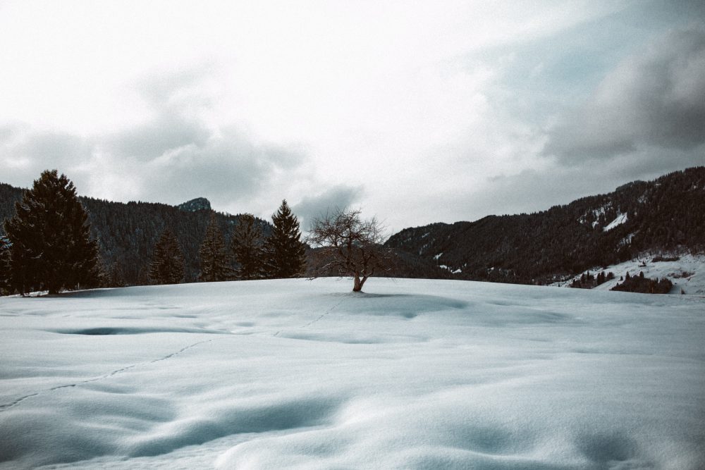 Babybauchshooting im winterlichen Allgäu