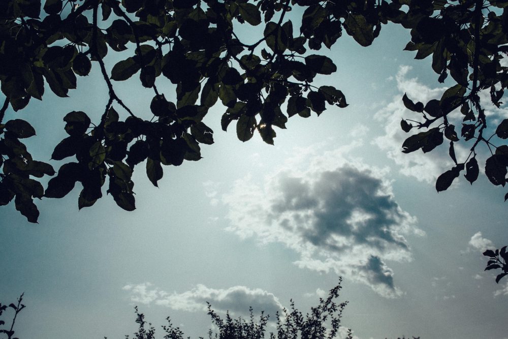 1001 Origami Kraniche auf der Scheunenhochzeit AmVieh-Theater / Schwindegg