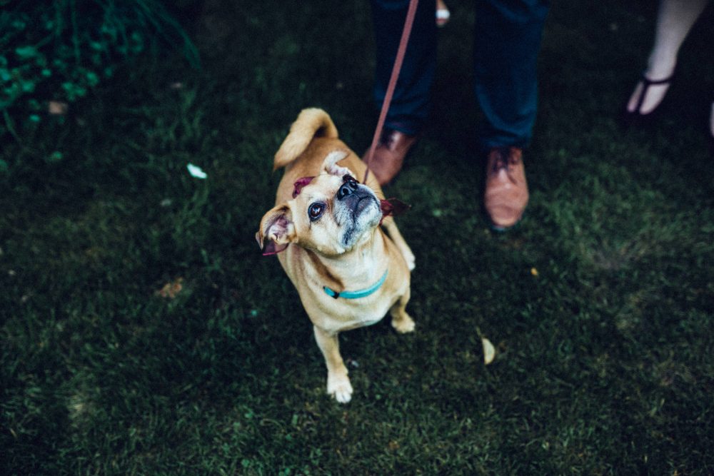 1001 Origami Kraniche auf der Scheunenhochzeit AmVieh-Theater / Schwindegg