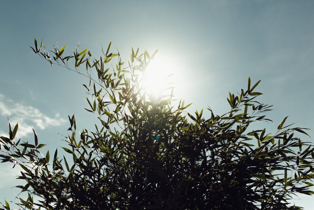 Gleichgeschlechtliche Hochzeit im Skyloftstudio München