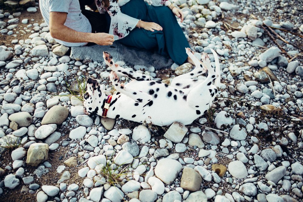 Babybauchshooting an der idyllischen Isar
