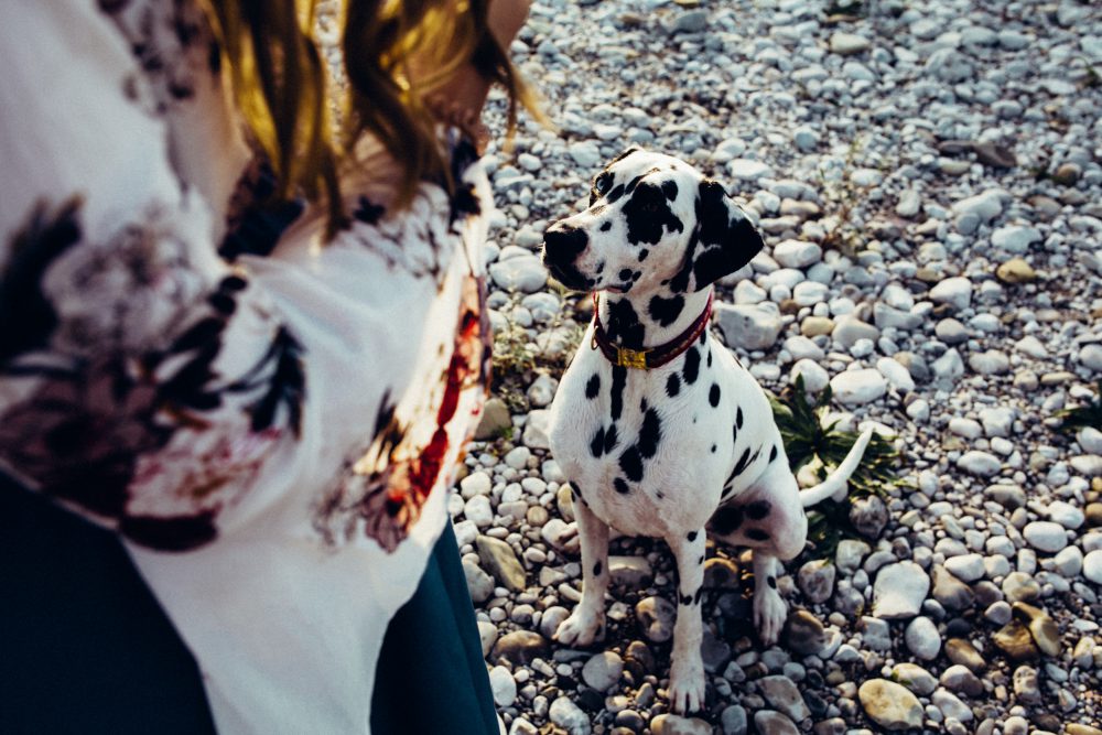 Babybauchshooting an der idyllischen Isar