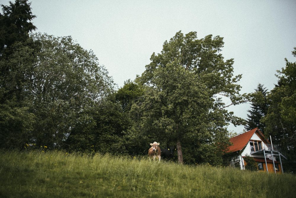 Landhochzeit in der Eventbühne Kimratshofen im Allgäu