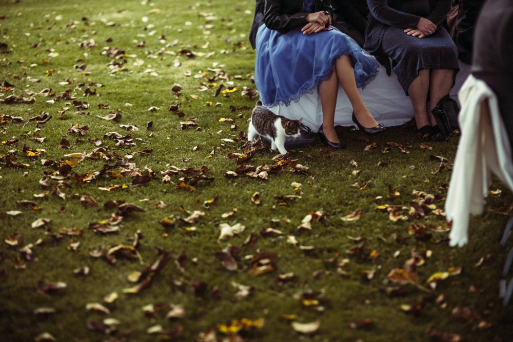 Freie Trauung im Garten der alten Tenne