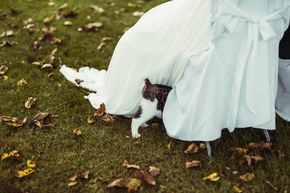 Freie Trauung im Garten der alten Tenne