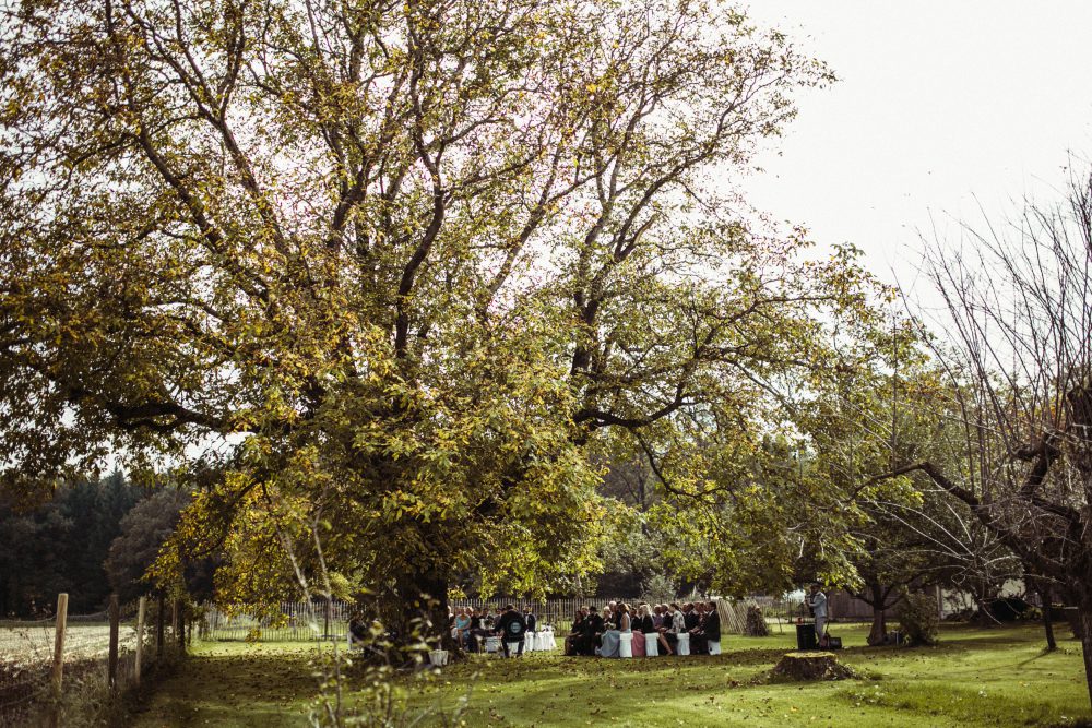 Freie Trauung im Garten der alten Tenne