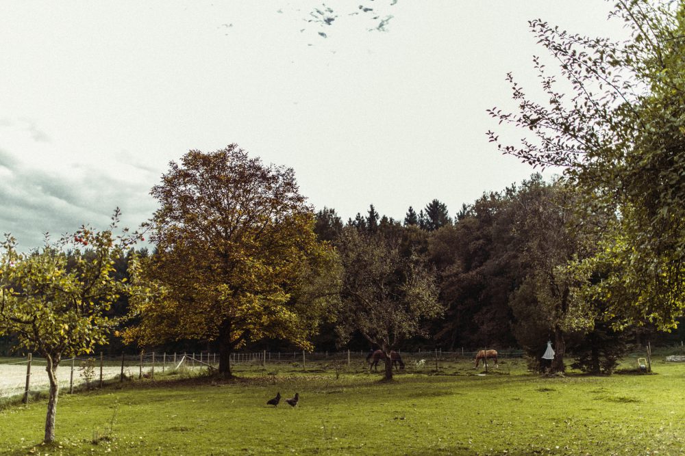 Freie Trauung im Garten der alten Tenne