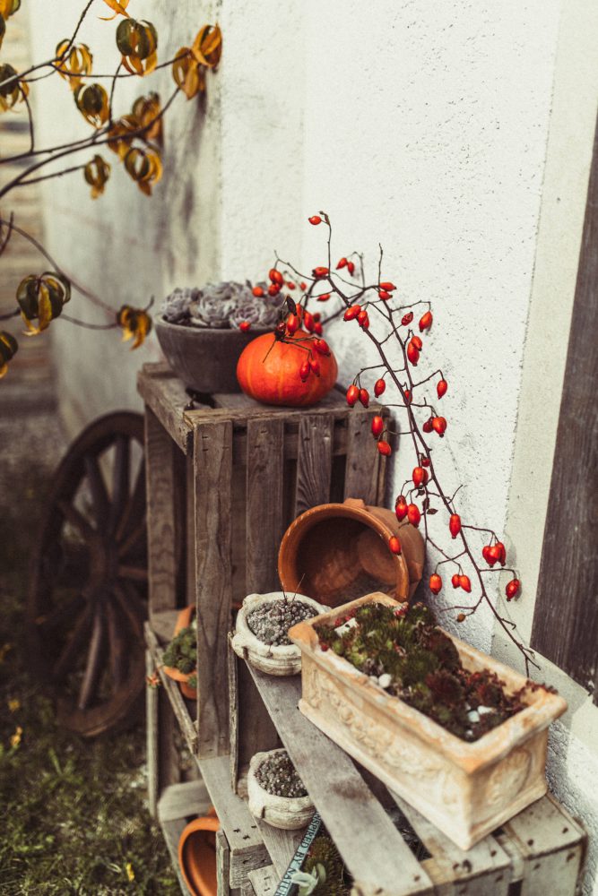 Freie Trauung im Garten der alten Tenne