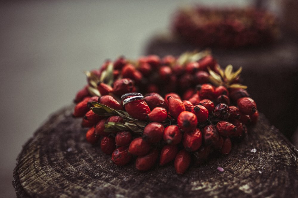 Freie Trauung im Garten der alten Tenne