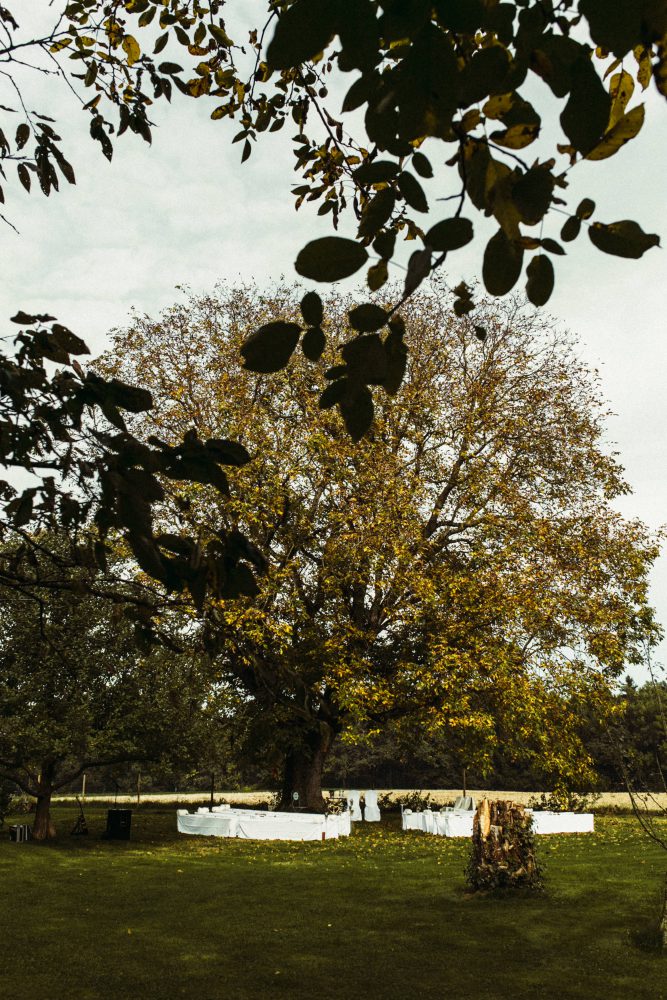 Freie Trauung im Garten der alten Tenne