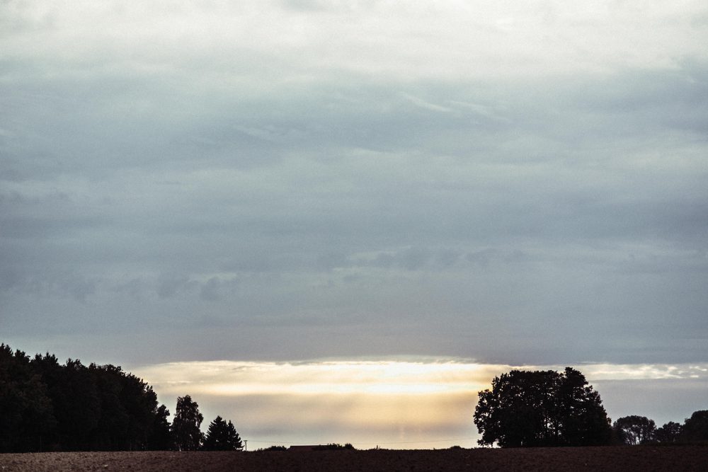 Freie Trauung im Garten der alten Tenne