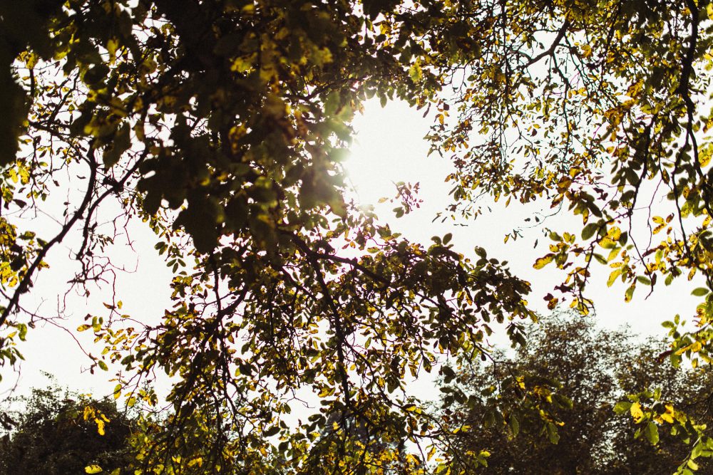 Freie Trauung im Garten der alten Tenne