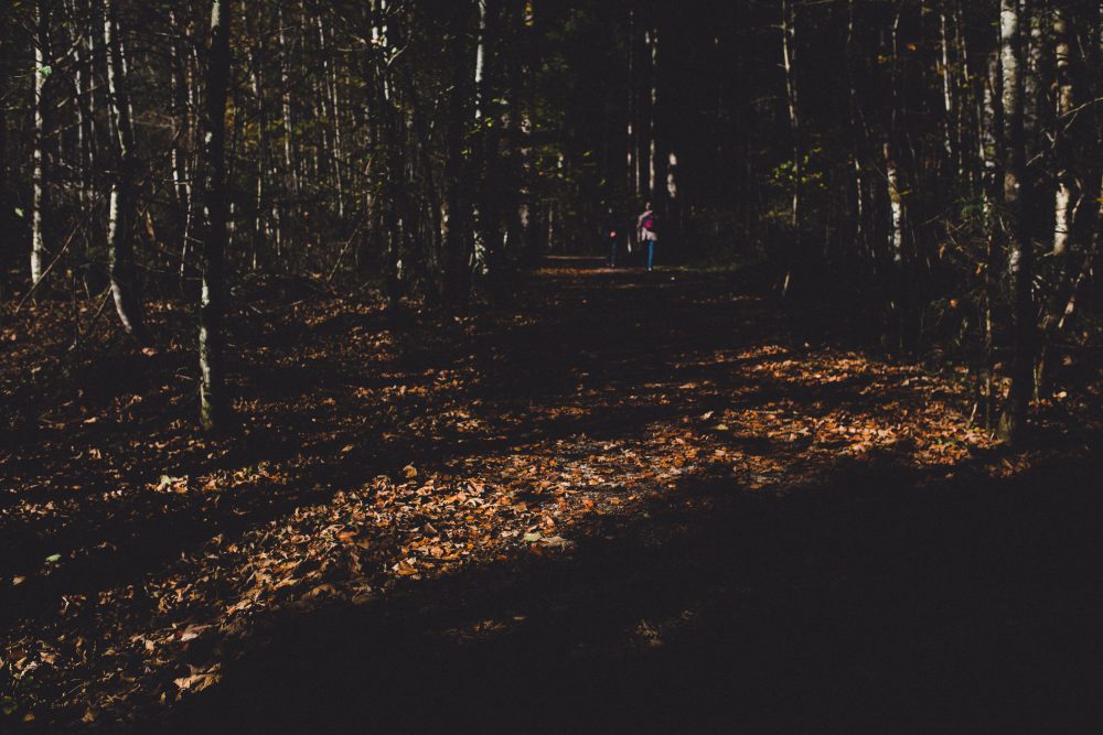 Babybauchshooting im herbstlichen Oberstdorf