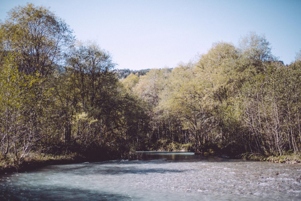Babybauchshooting im herbstlichen Oberstdorf