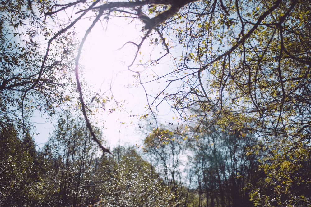 Babybauchshooting im herbstlichen Oberstdorf