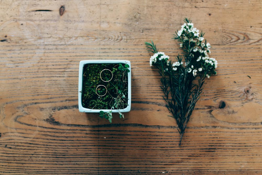 Hochzeitsreportage auf Gut Romenthal