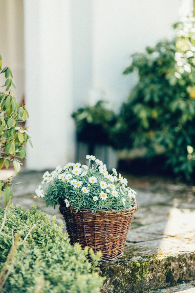 Hochzeitsreportage auf Gut Romenthal