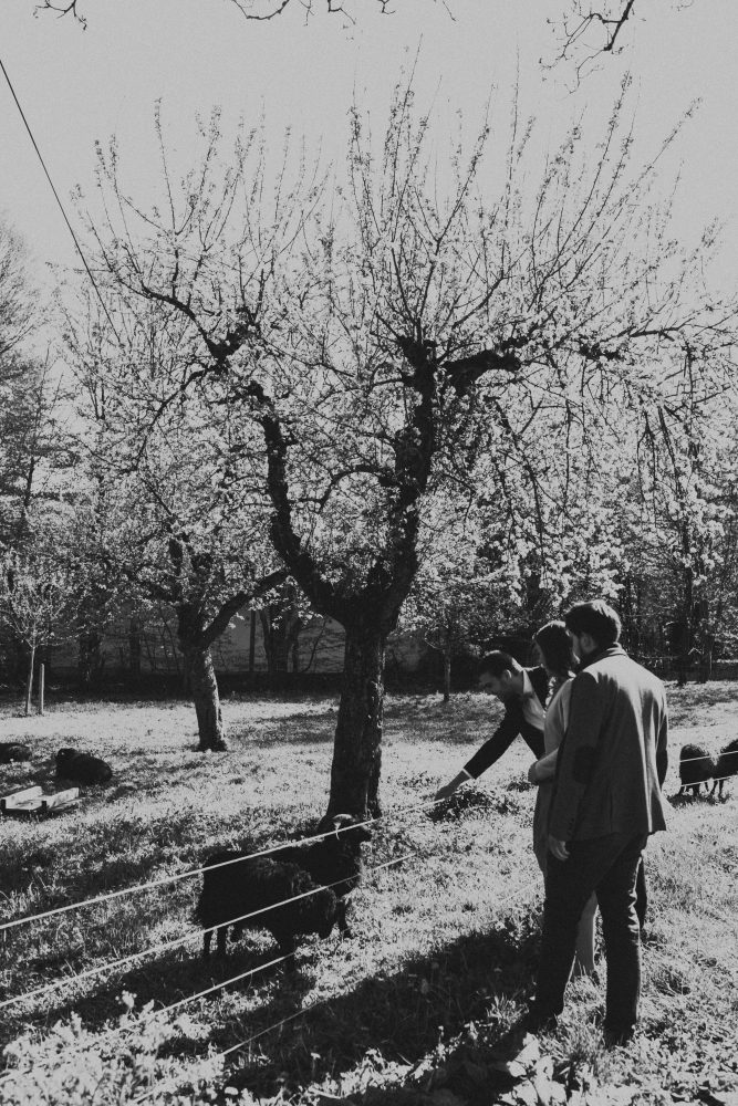 Hochzeitsreportage auf Gut Romenthal