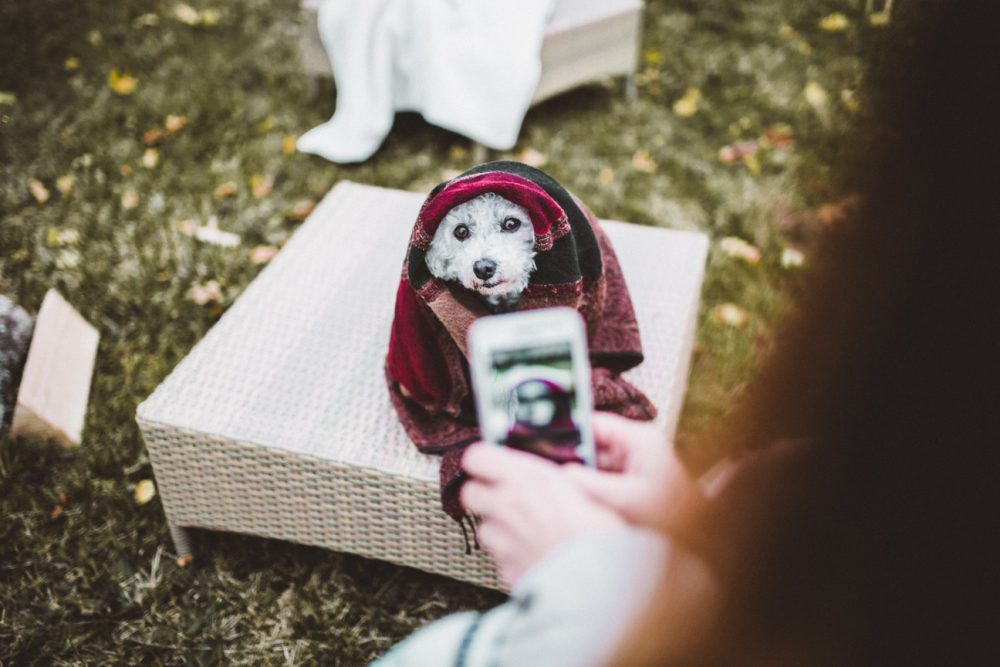 Herbstfeuer und Kochen mit der Peka im Garten