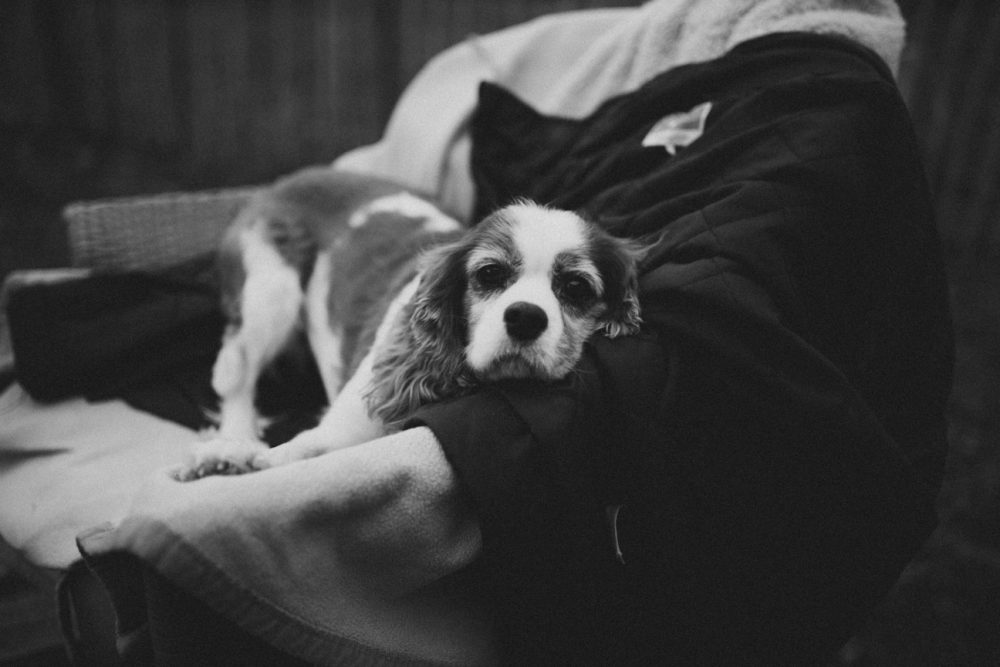 Herbstfeuer und Kochen mit der Peka im Garten