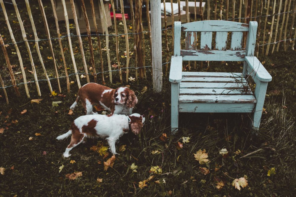 Herbstfeuer und Kochen mit der Peka im Garten