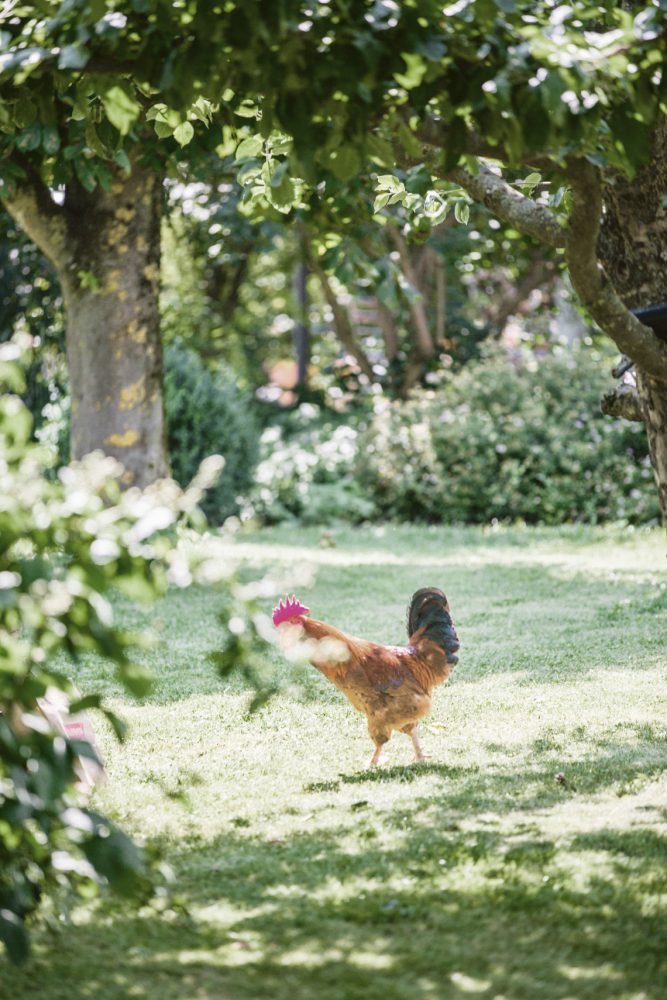 Barfuß Hippie Scheunen-Hochzeit in der alten Tenne bei Moosinning