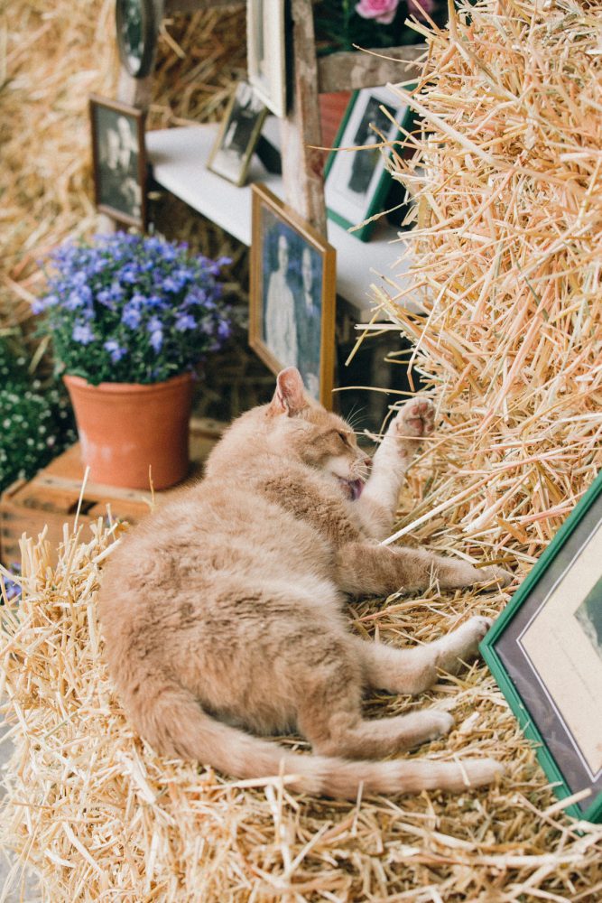 Barfuß Hippie Scheunen-Hochzeit in der alten Tenne bei Moosinning