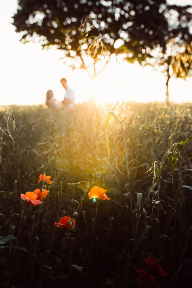 Sommerhochzeit in der Alten Gärtnerei