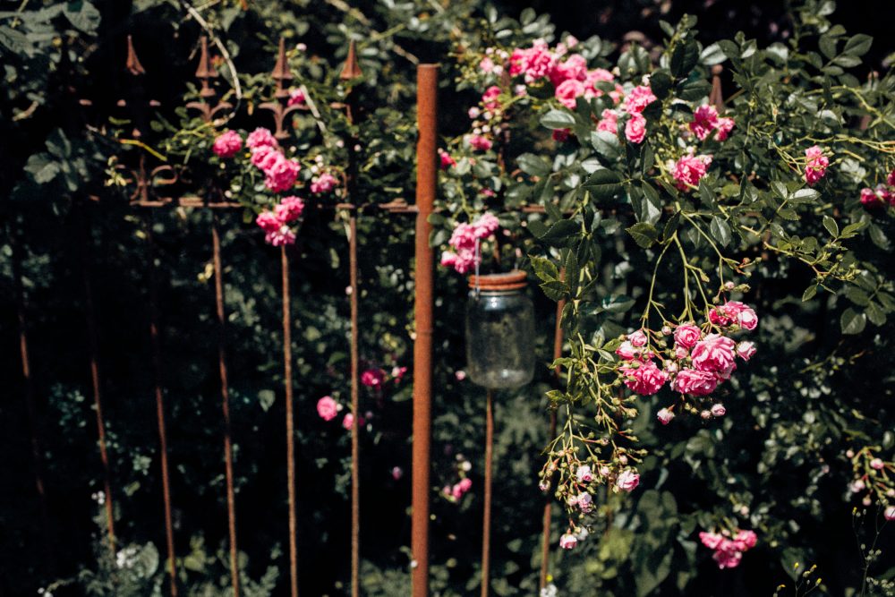 Sommerhochzeit in der Alten Gärtnerei