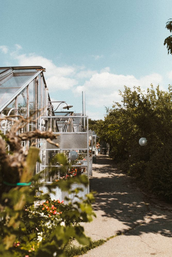Sommerhochzeit in der Alten Gärtnerei