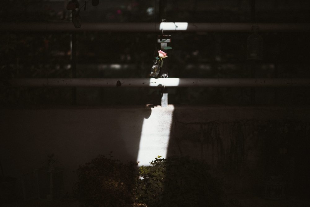 Sommerhochzeit in der Alten Gärtnerei