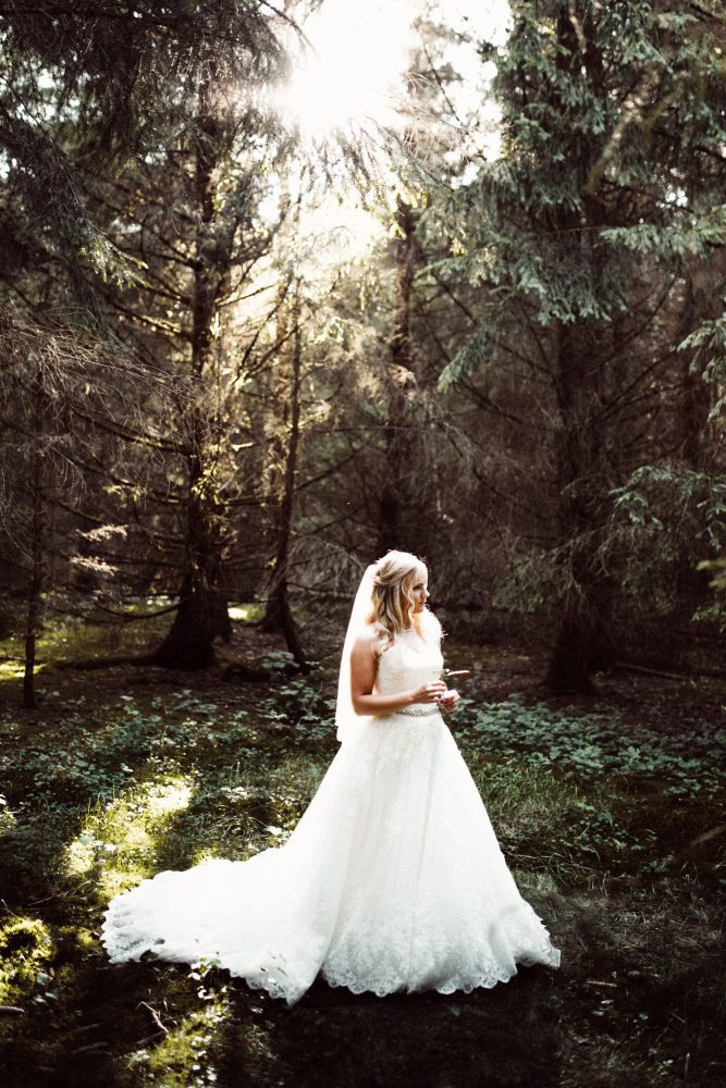 Sommerhochzeit in der Alten Gärtnerei