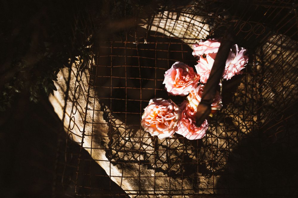 Sommerhochzeit in der Alten Gärtnerei