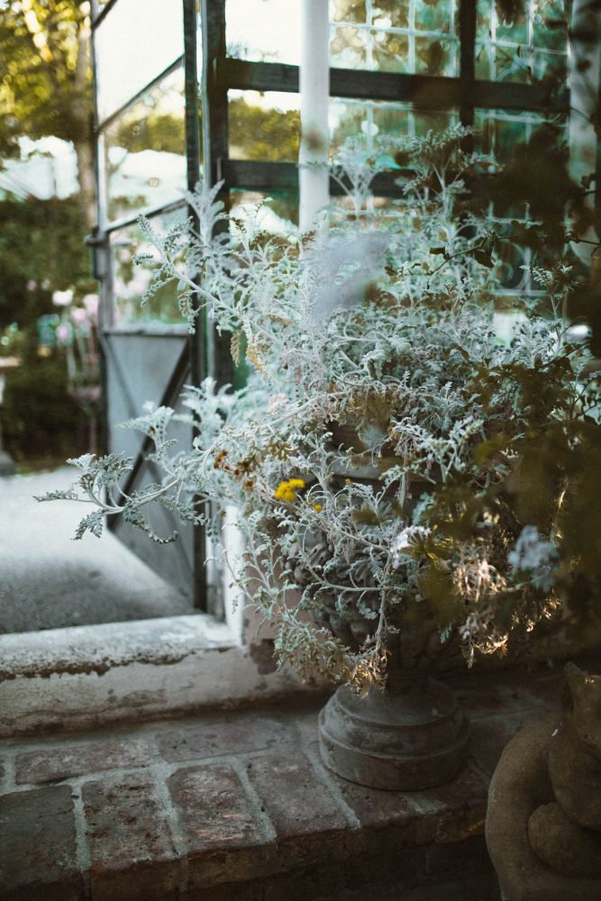 Sommerhochzeit in der Alten Gärtnerei