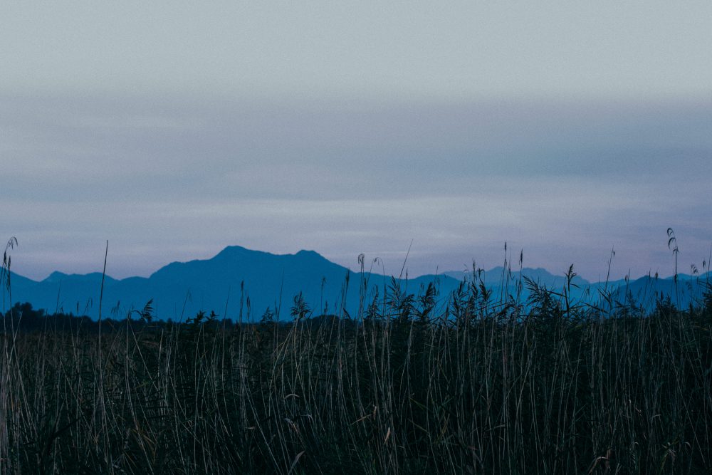 Herbsthochzeit auf Gut Aiterbach am Chiemsee