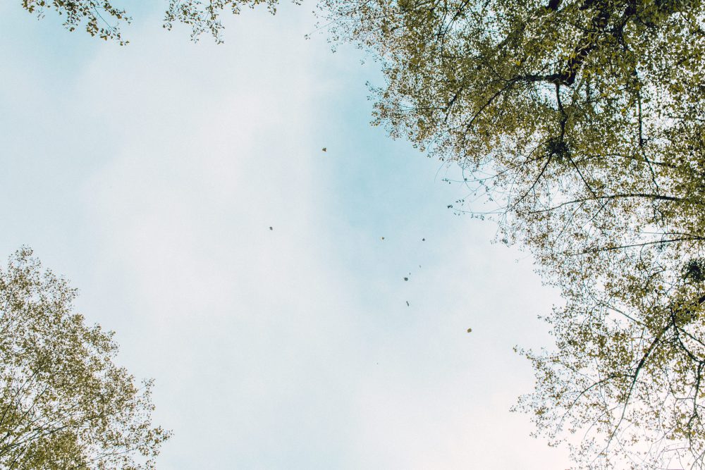 Herbsthochzeit auf Gut Aiterbach am Chiemsee