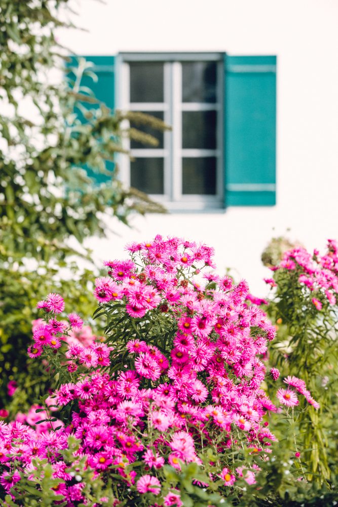 Herbsthochzeit auf Gut Aiterbach am Chiemsee