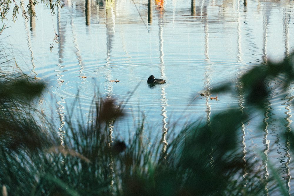 Herbsthochzeit auf Gut Aiterbach am Chiemsee