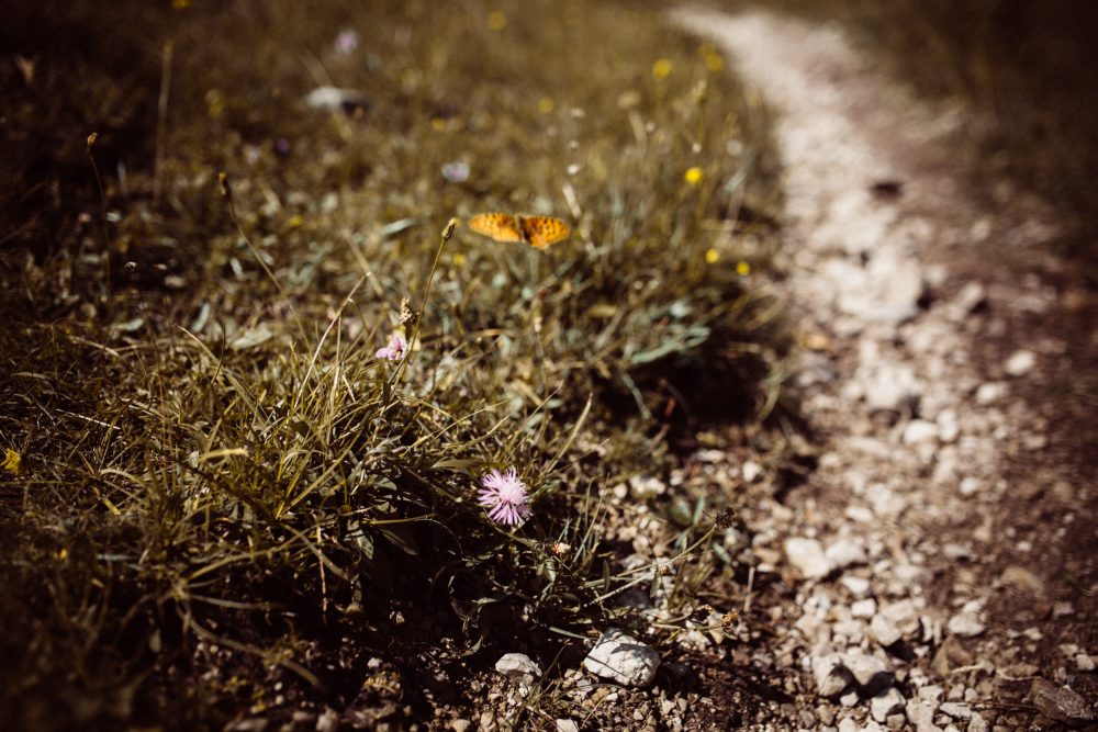 Engagement Shooting zwischen Wasserfällen