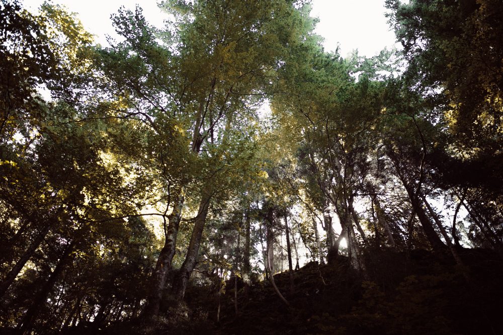 Engagement Shooting zwischen Wasserfällen
