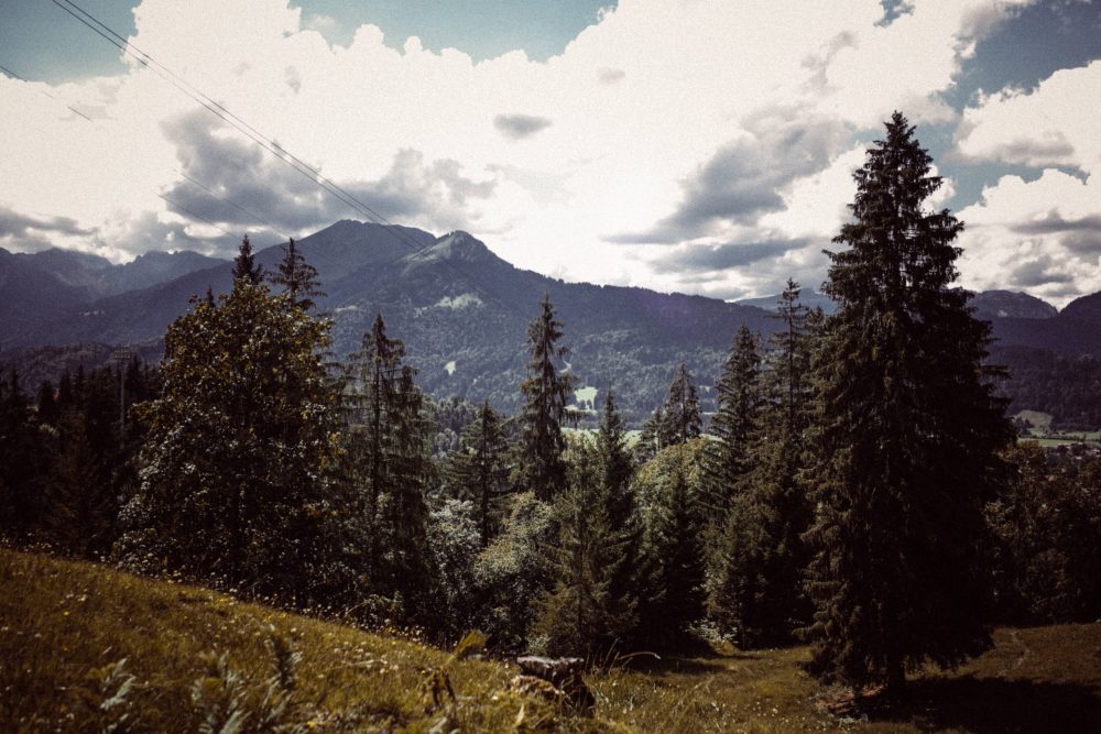 Engagement Shooting zwischen Wasserfällen