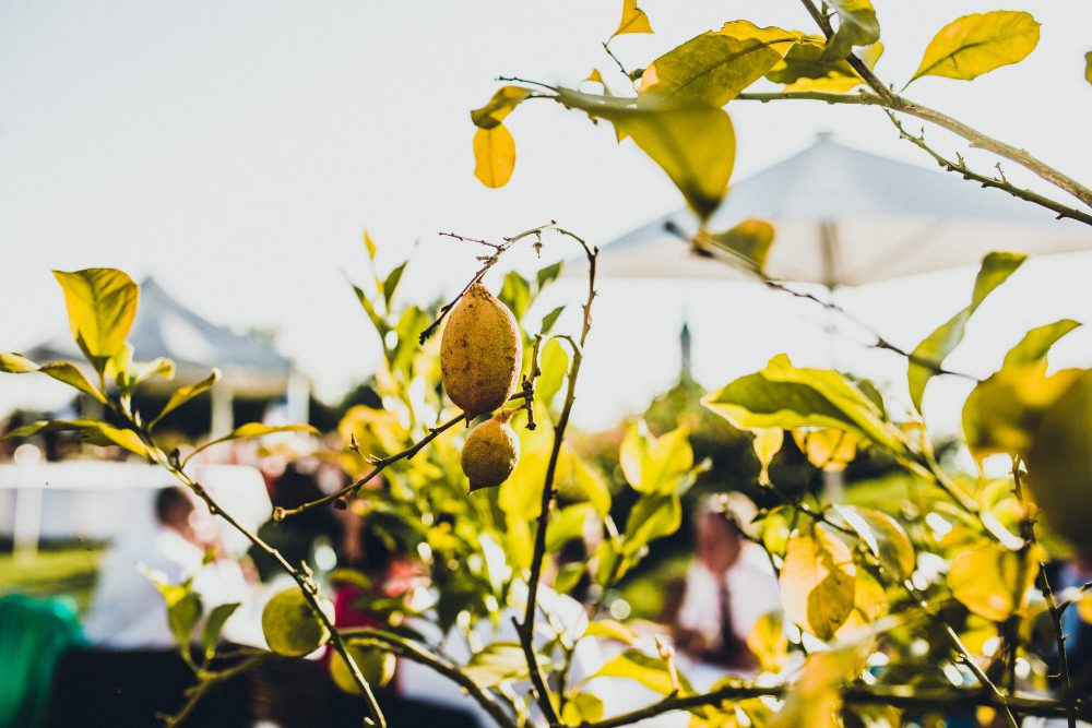 Hochzeitsreportage im Birnauer Oberhof am Bodensee