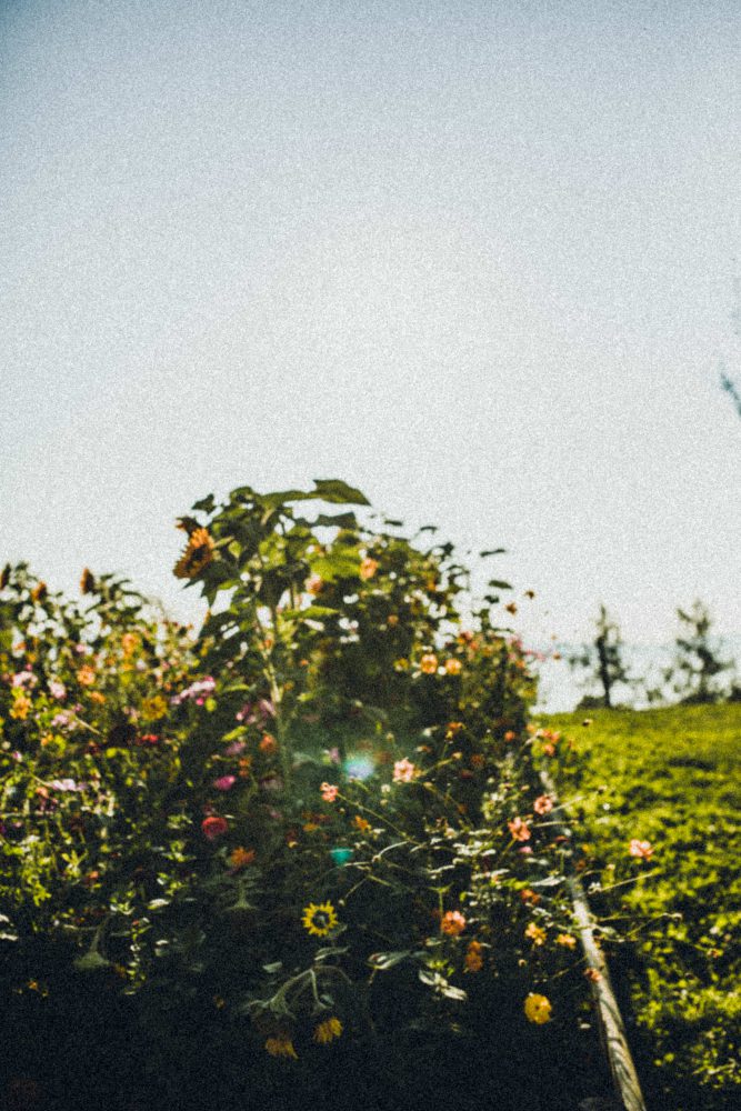 Hochzeitsreportage im Birnauer Oberhof am Bodensee