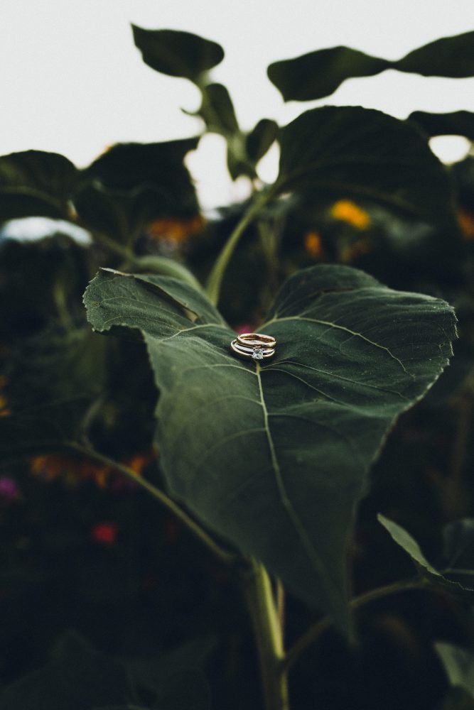 Hochzeitsreportage im Birnauer Oberhof am Bodensee
