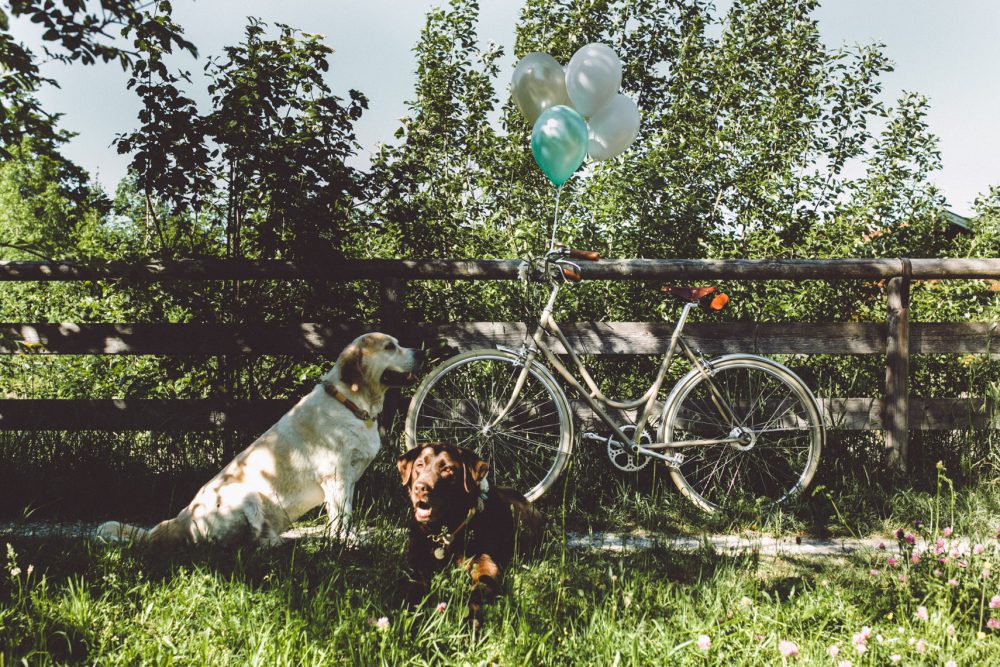 Rosenhochzeit im Räucherhäusl auf Gut Kaltenbrunn am Tegernsee