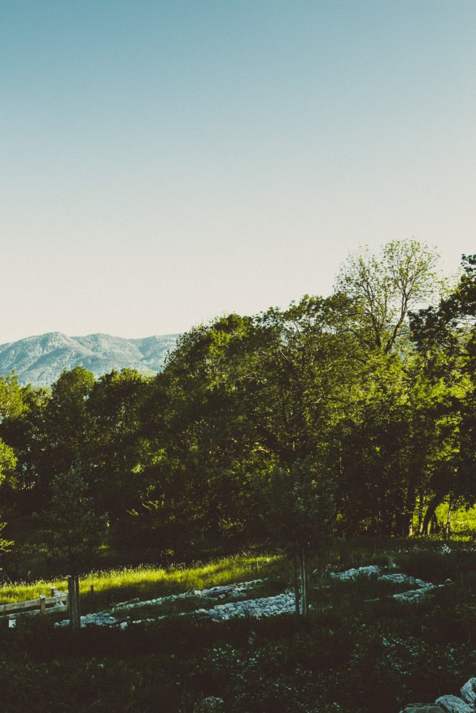Rosenhochzeit im Räucherhäusl auf Gut Kaltenbrunn am Tegernsee
