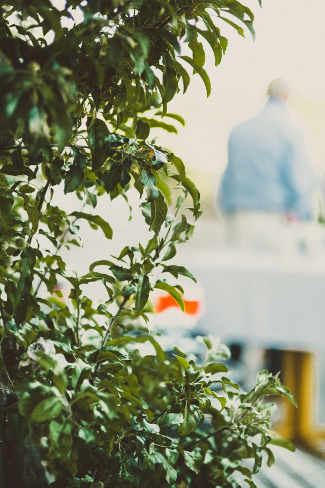 Rosenhochzeit im Räucherhäusl auf Gut Kaltenbrunn am Tegernsee