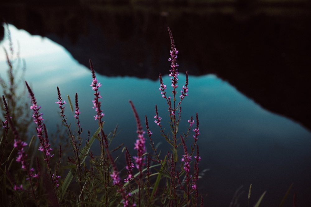 Babybauch Shooting am idyllischen Bergweiher